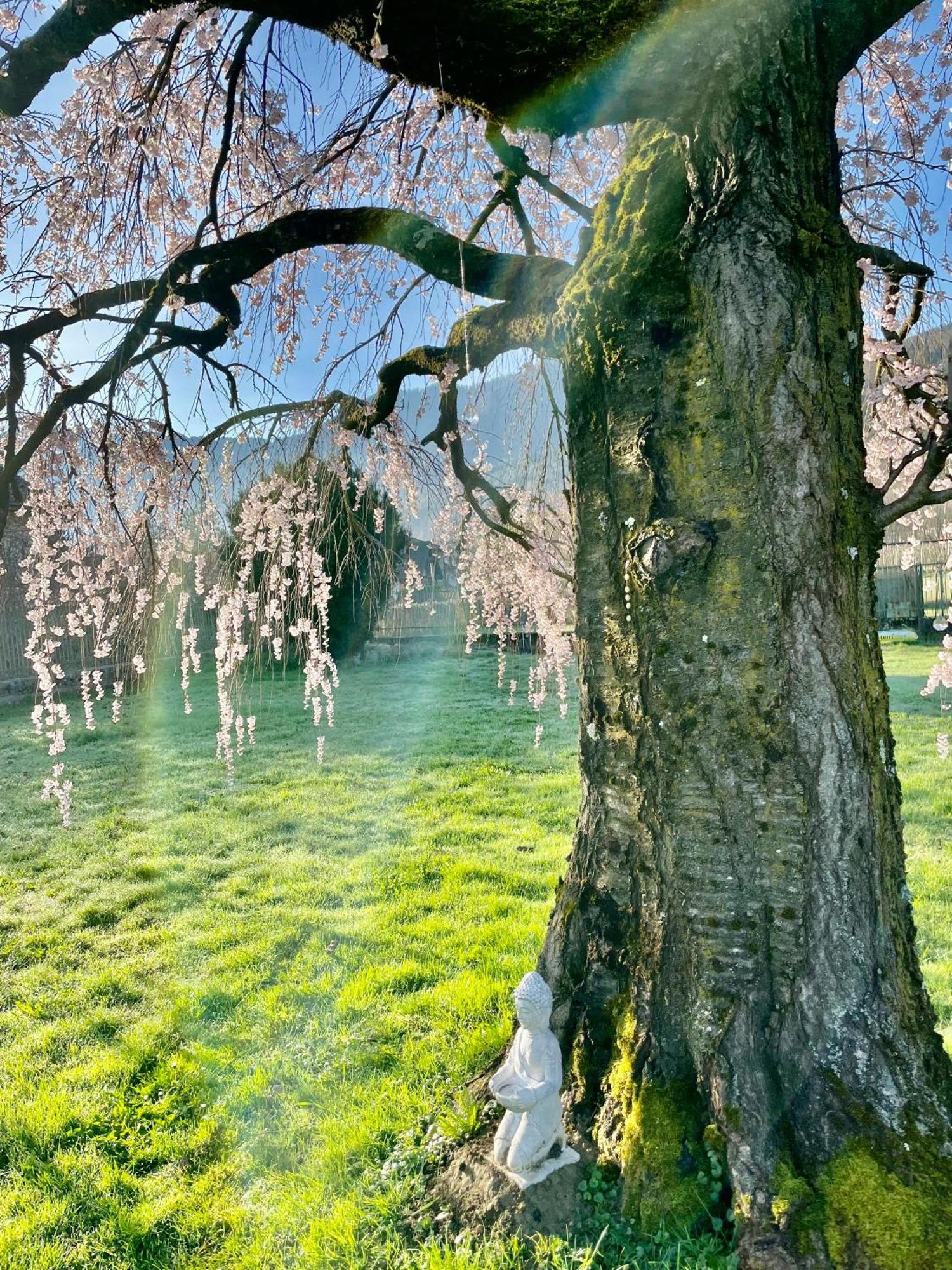 Paradiso Sul Lago Calceranica al Lago Buitenkant foto